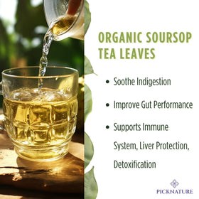 PickNature tea infusion in cup, a comforting ritual with antioxidants.