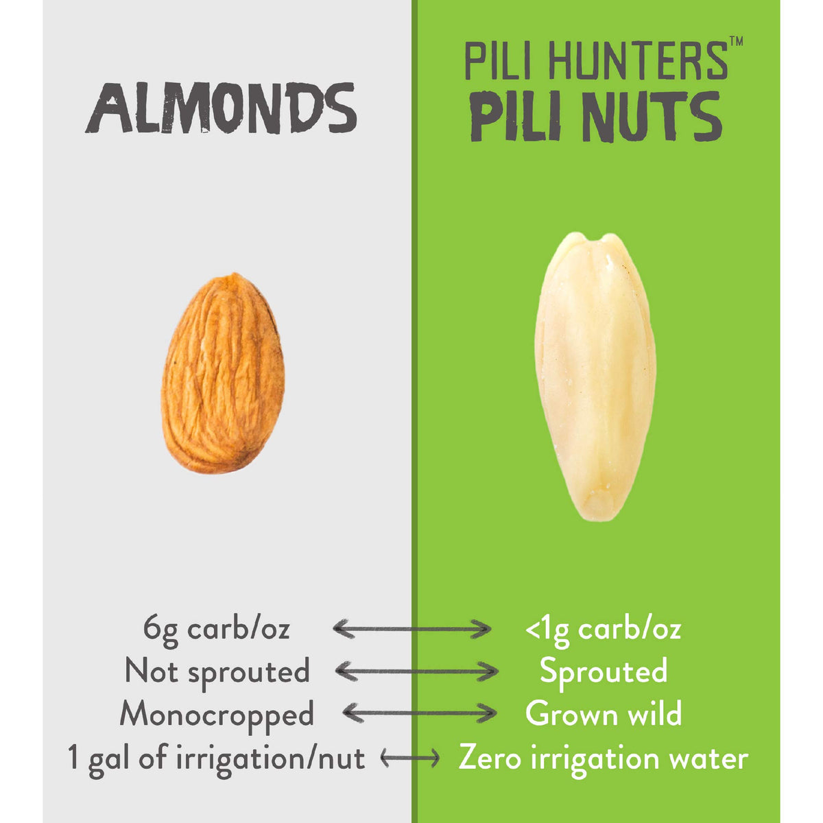 Pili Hunters nutrient-dense nuts with minerals and protein.