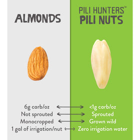 Pili Hunters nutrient-dense nuts with minerals and protein.