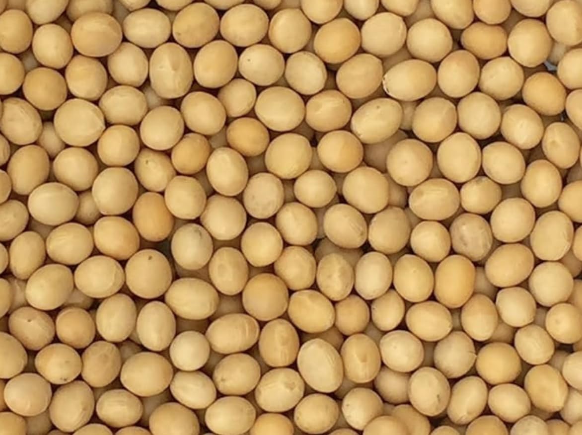 Pinstar Premium Non-GMO soybeans in a 3 lb bag, USA grown, ideal for soy milk and tofu.