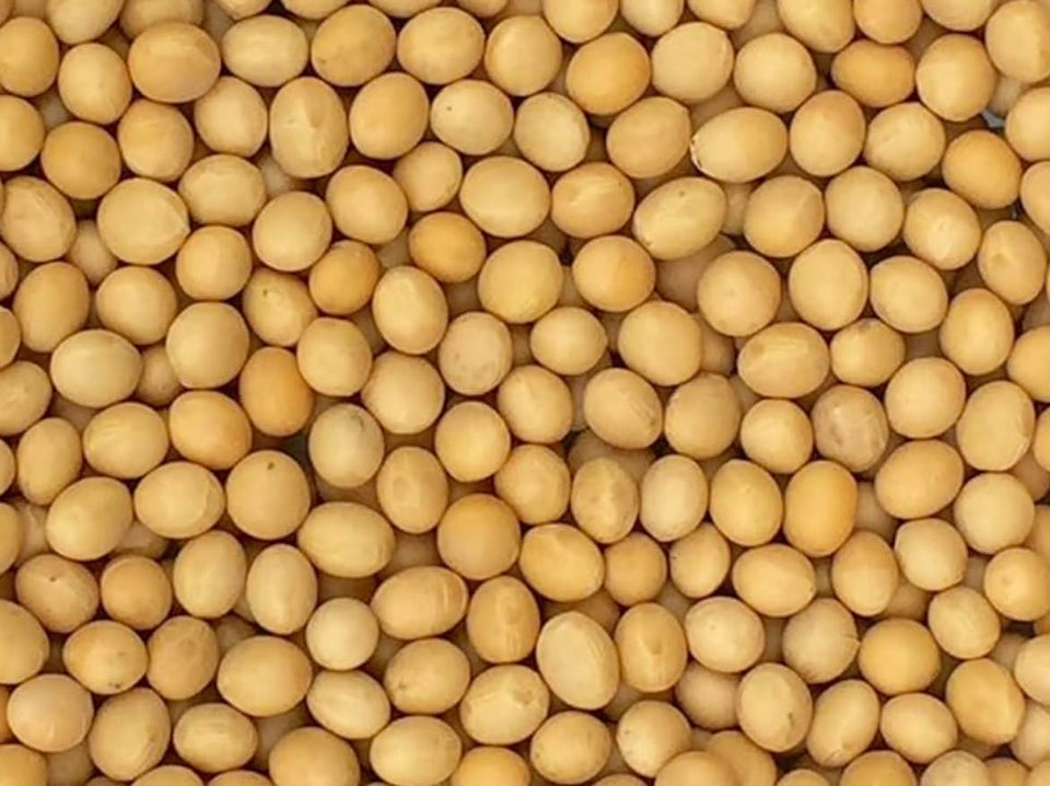 Pinstar Premium Non-GMO soybeans in a 3 lb bag, USA grown, ideal for soy milk and tofu.