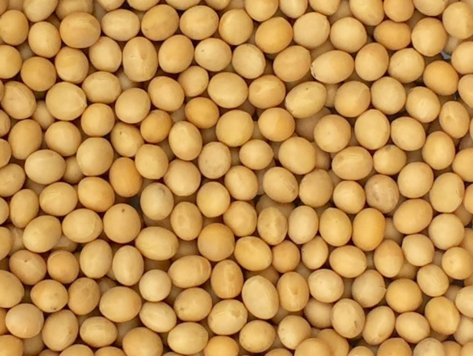 Pinstar Premium Non-GMO soybeans in a 5 lb pack for rich soy milk