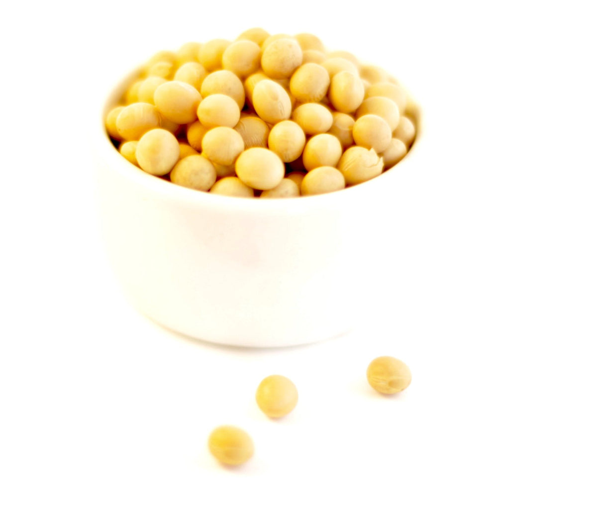 Pinstar Premium Non-GMO soybeans grown in the USA for natto and tofu prep