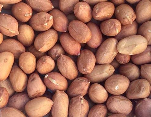 Pinstar Premium Raw Red Skin Peanuts for snacking, baking, and brittle making