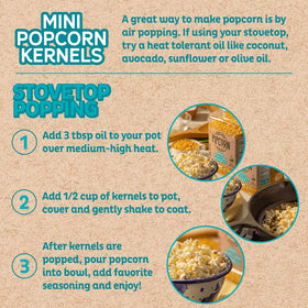Pipcorn Heirloom mini popcorn kernels close-up texture showing tiny, wholesome kernels.