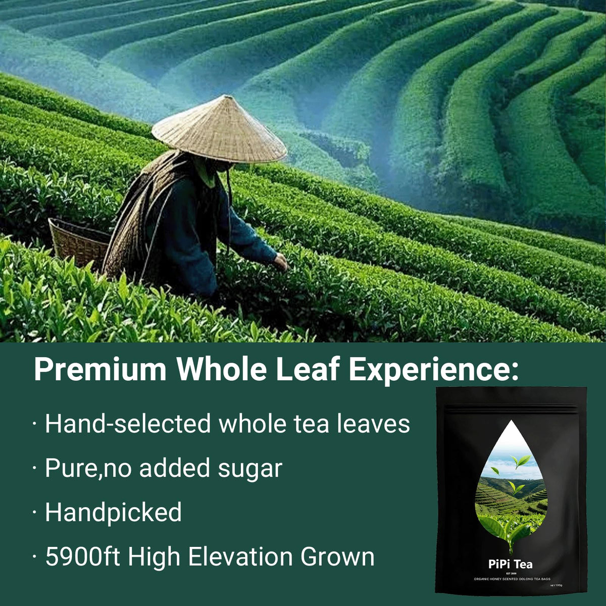 Pipi Tea brew in cup showing warm aroma and smooth flavor.
