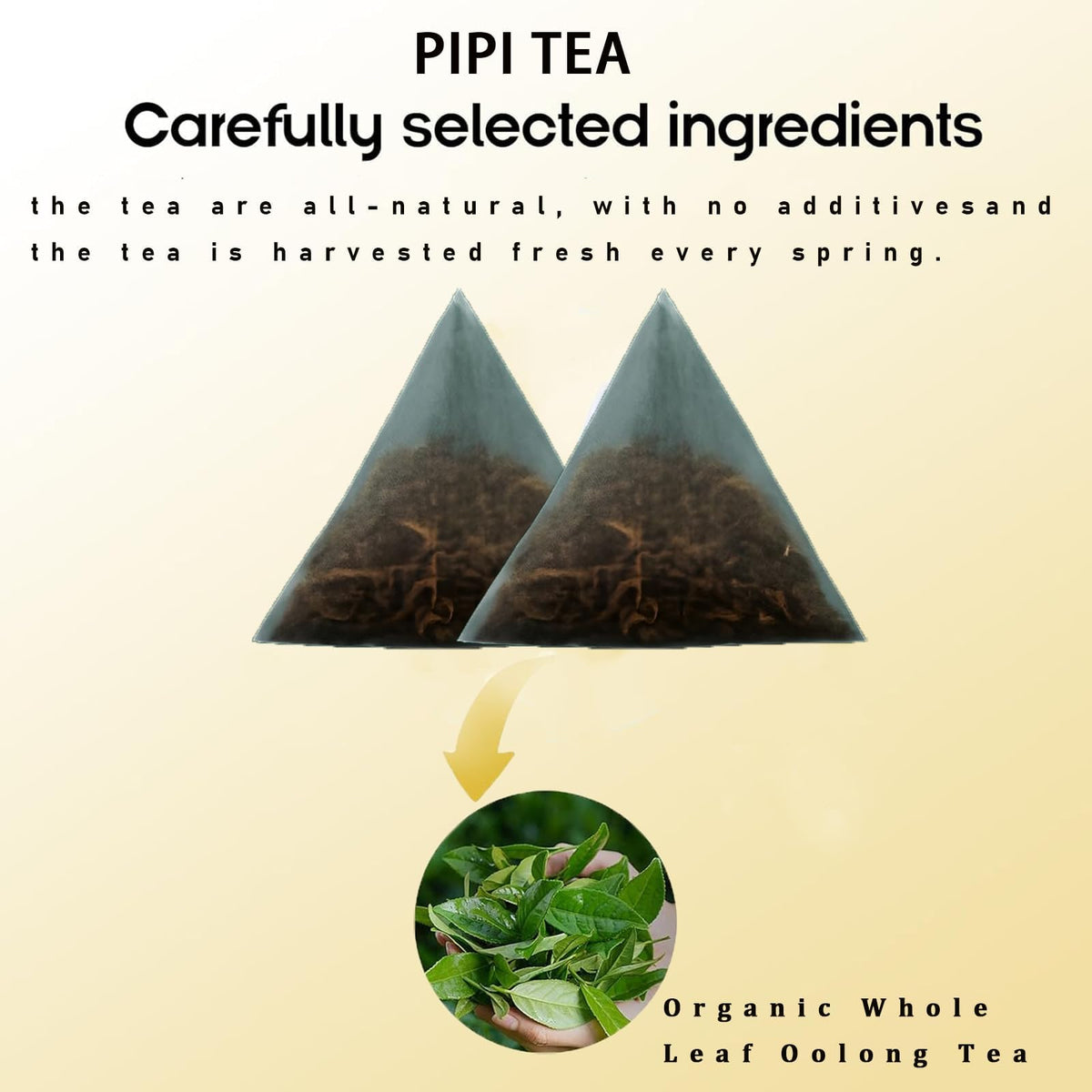 Eco-friendly packaging box for Pipi Tea Oolong with portability in mind