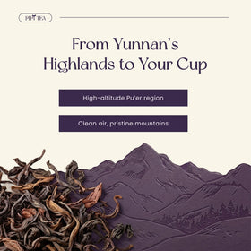 PiPi Tea no-fillers organic oolong label detail and purity
