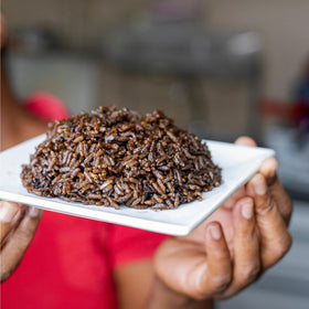 Pisa Haitian Djon Djon mushroom suits stews and savory sauces.