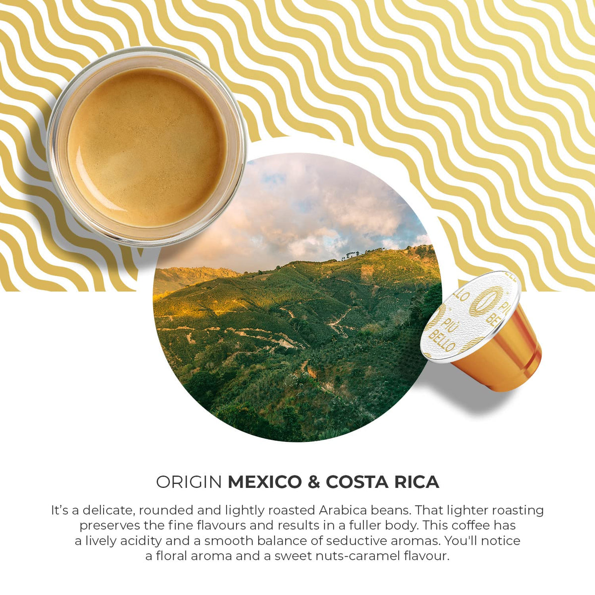 PIU BELLO Gourmet Colombian Arabica beans highlight origin and aroma