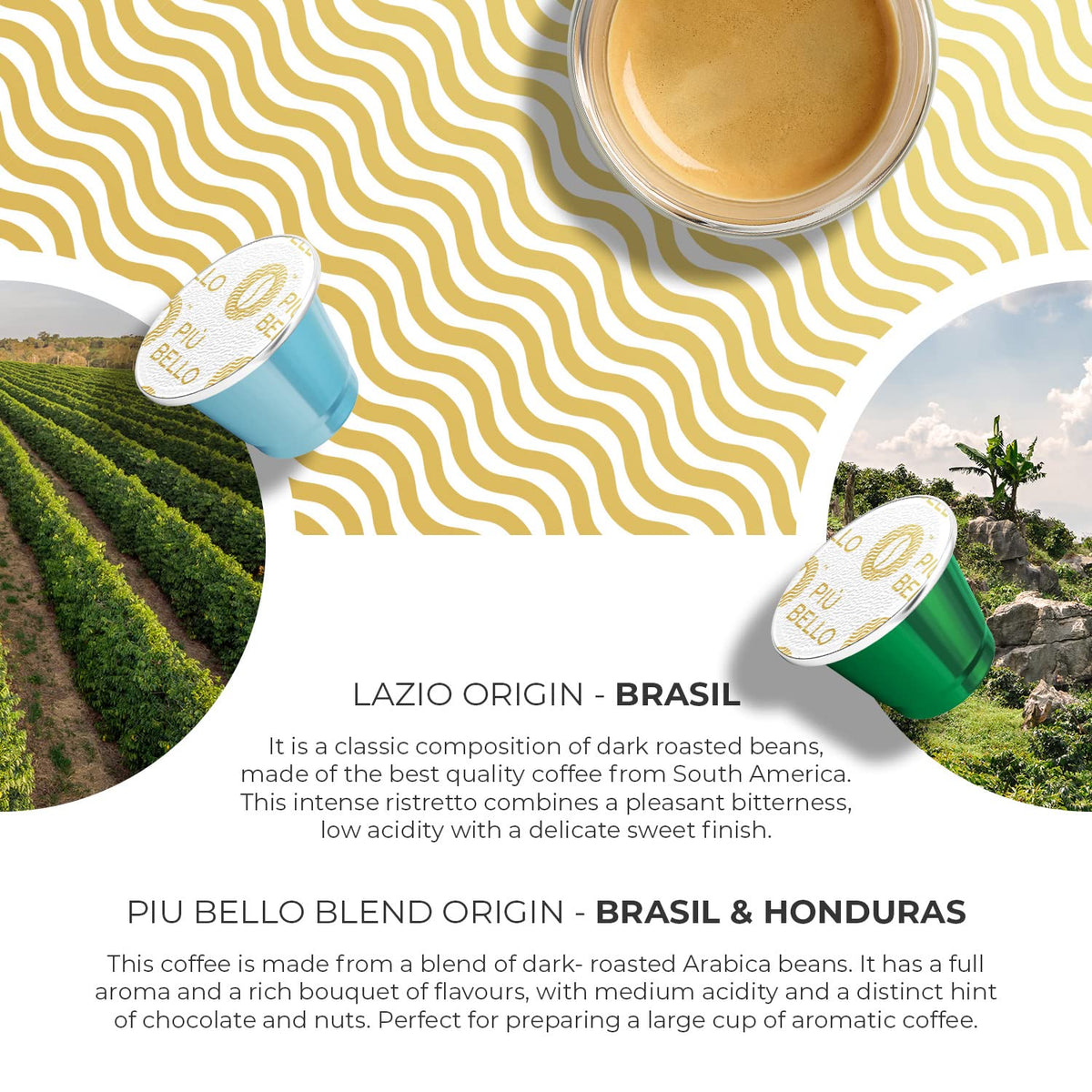 Piu Bello Lazio capsule delivers balanced taste with smooth finish.