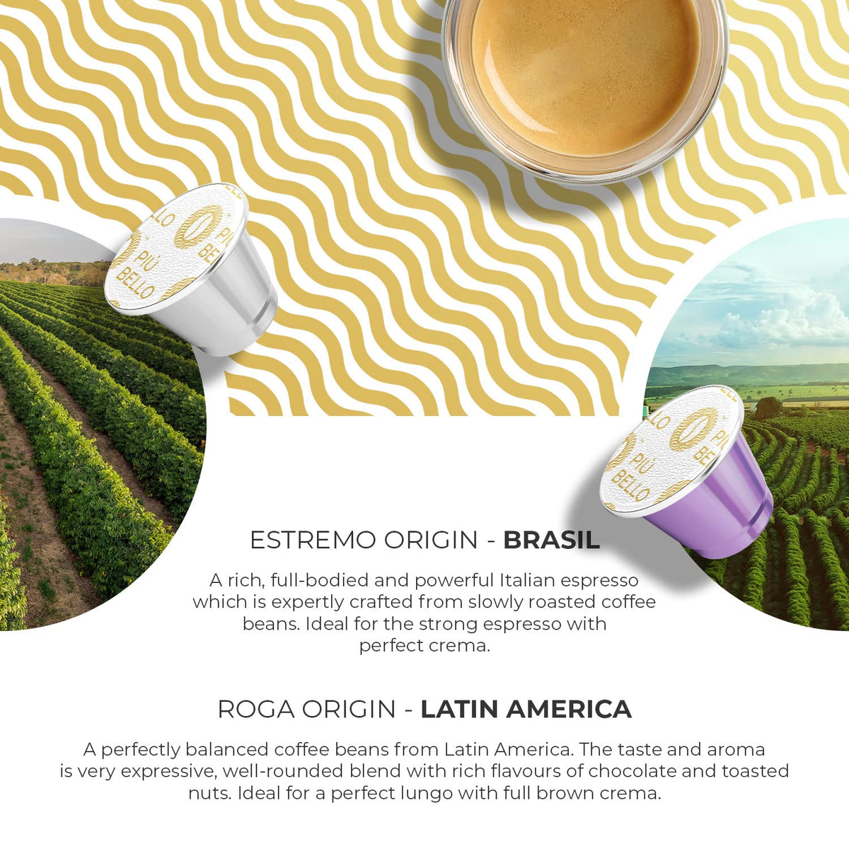 Piu Bello Blend capsule combines harmony and aroma in each cup.