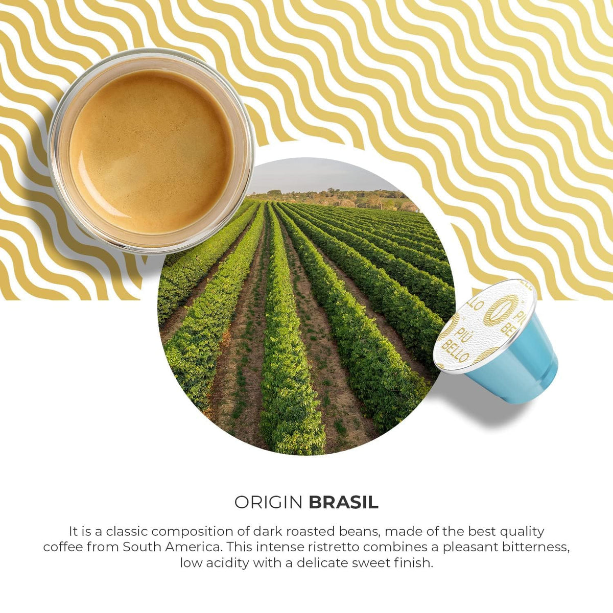 PIU BELLO Colombian Arabica beans emphasizing terroir and smooth aroma.