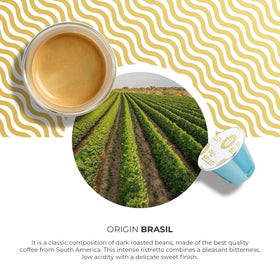 PIU BELLO Colombian Arabica beans emphasizing terroir and smooth aroma.