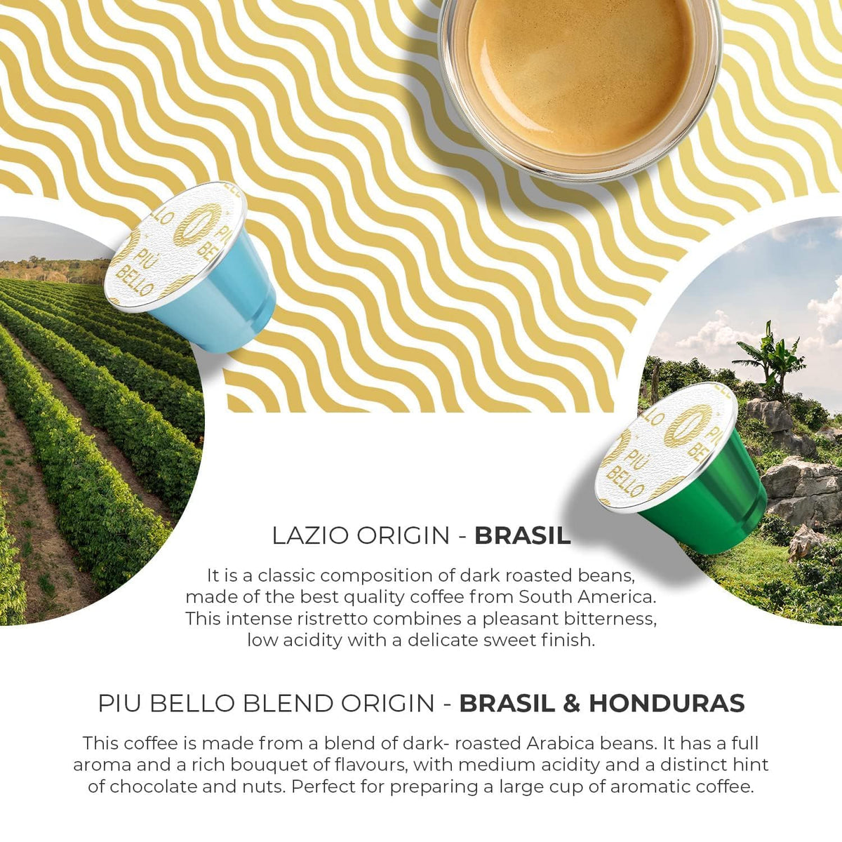 PIU BELLO Piu Bello Blend pod versatile daily roast
