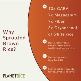 Planet Rice ready-to-use bowls for balanced meals and leftovers.