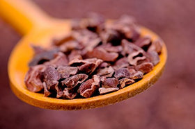 Plant Guru Arriba Nacional cacao nibs from Ecuador for home chocolatiers
