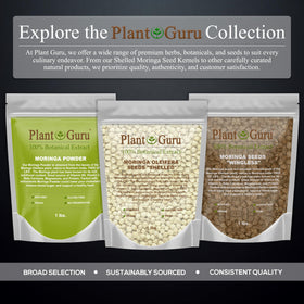 Plant Guru Moringa seeds kernel jar opening demonstrates easy access.