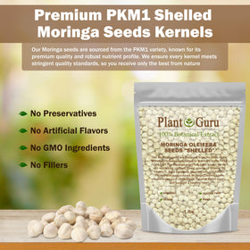 Plant Guru Moringa seeds kernel shelled 16 oz bag-open suggests ready-to-use freshness for recipes.