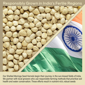 Plant Guru Moringa seeds kernel shelled 16 oz drumstick-tree motif evokes tropical Malunggay origins.