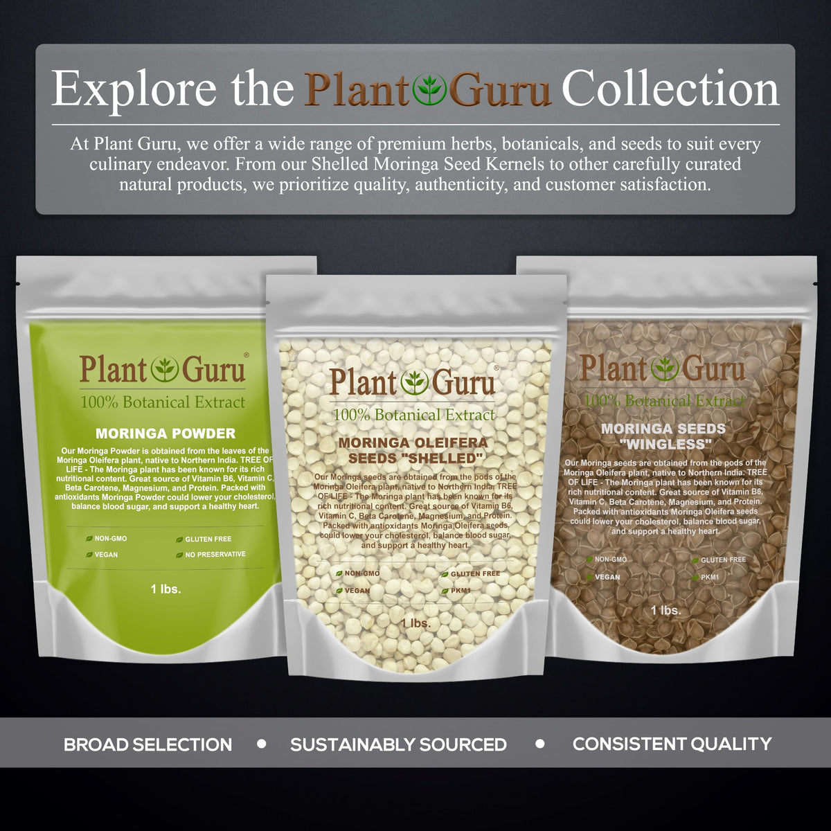 Plant Guru Moringa seeds kernel shelled 16 oz jar-inset highlights compact storage.