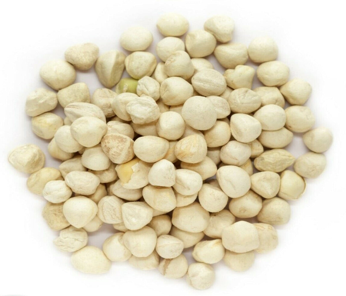 Plant Guru Moringa seeds kernel shelled 16 oz label detail communicates usage ideas.