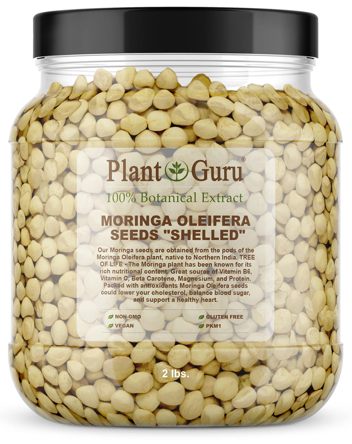 Plant Guru Moringa seeds kernel in a wide-mouth jar for easy storage and measuring.