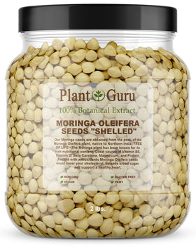 Plant Guru Moringa seeds kernel in a wide-mouth jar for easy storage and measuring.