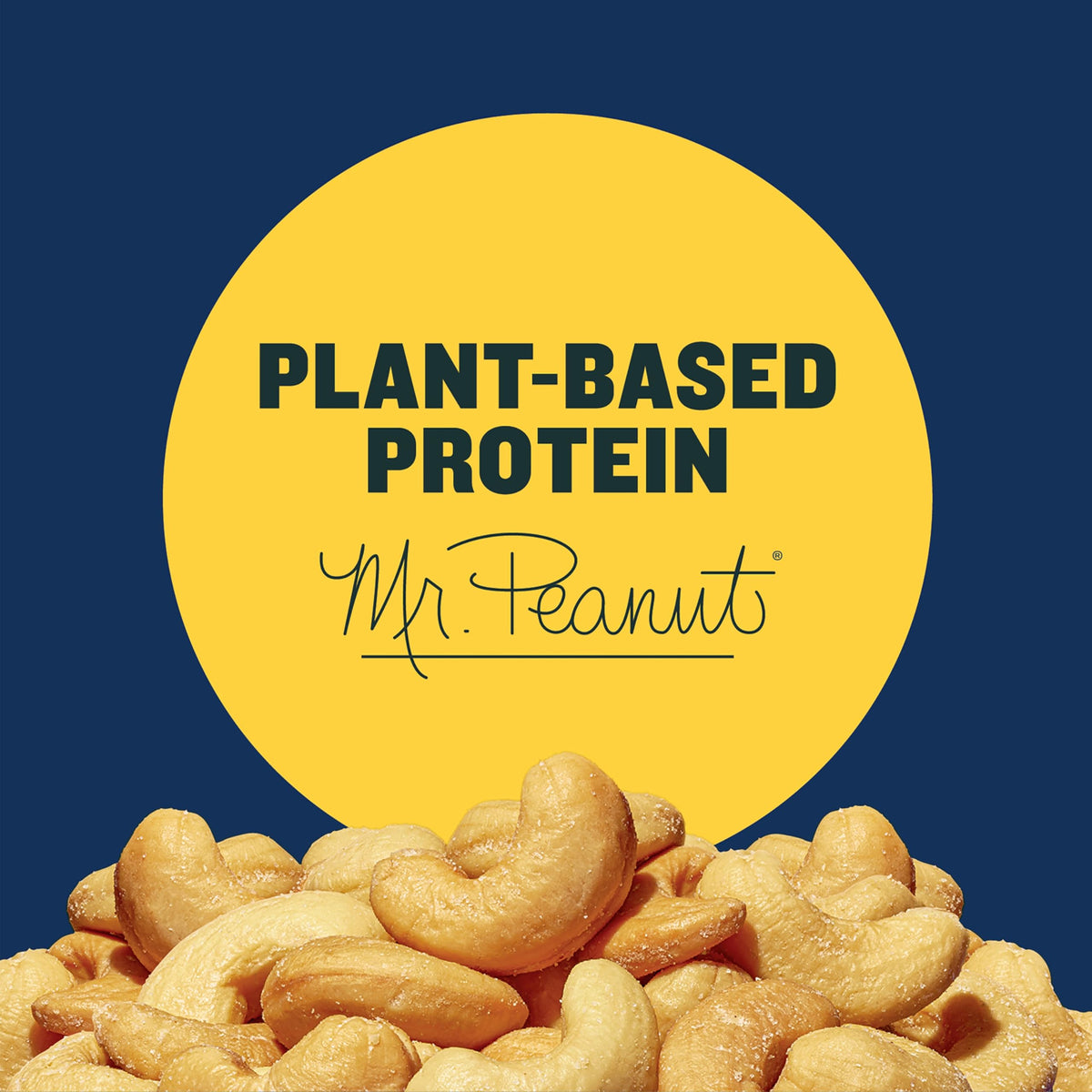 Planters Deluxe Cashews snack ready for road trips and lunches