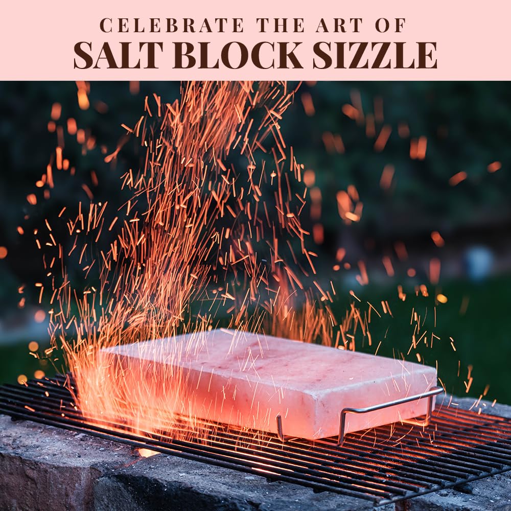 POHS stainless steel tray holder shown with salt block for safe handling