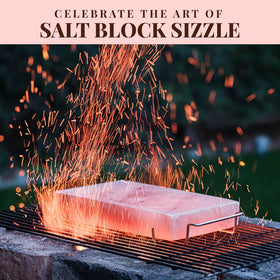 POHS stainless steel tray holder shown with salt block for safe handling