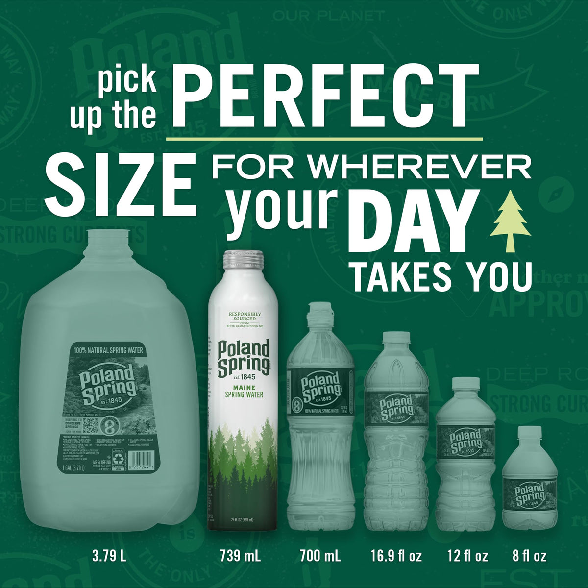 Poland Spring water highlights naturally occurring minerals and electrolytes