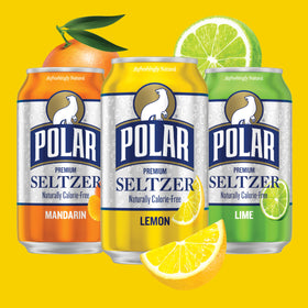 Polar Seltzer Lemon can close-up emphasizes tangy citrus and calorie-free refreshment