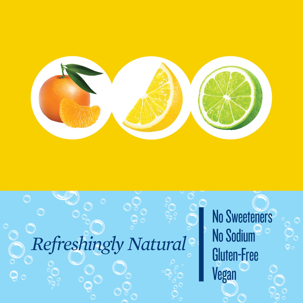 Polar Seltzer Water Citrus Variety Pack back view highlighting convenient multi-pack for on-the-go hydration