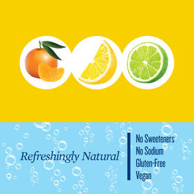 Polar Seltzer Water Citrus Variety Pack back view highlighting convenient multi-pack for on-the-go hydration