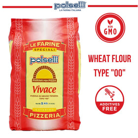 Polselli Vivace pizza dough setup ready for stretching and fermentation
