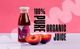 Pomona Organic Plum Juice bottle label shows USDA organic, 12-pack convenience