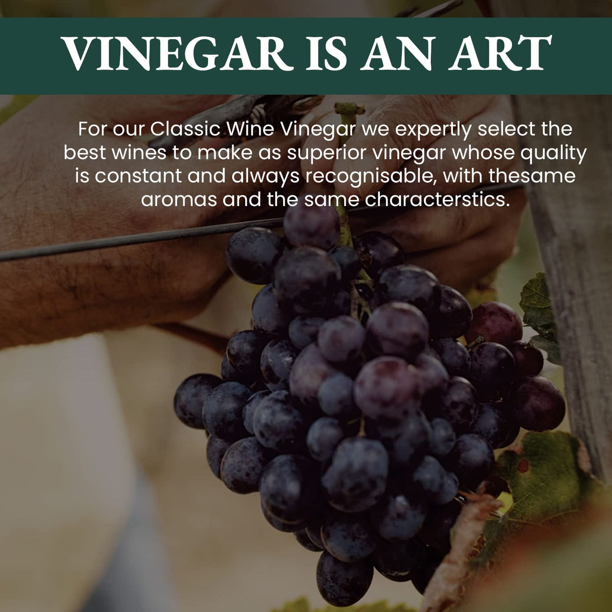Ponti aged white wine vinegar bottle suggesting depth of flavor.