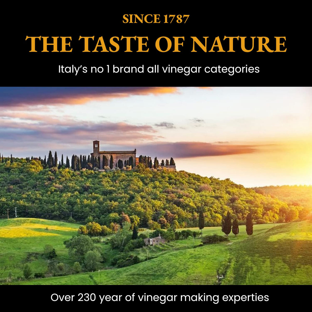 Gifting Ponti Organic Balsamic for gourmet cooking and condiments collection