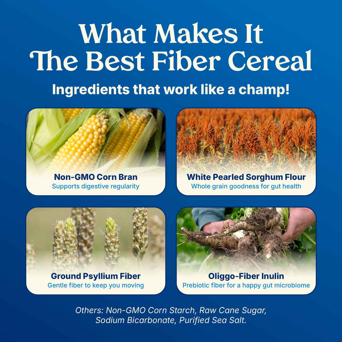 Poop Like A Champion corn bran close-up, wholesome crunch for breakfast