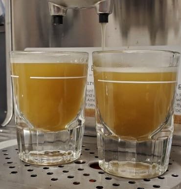 Poverty Bay White Coffee beans close-up highlights a nutty, caffeinated lift