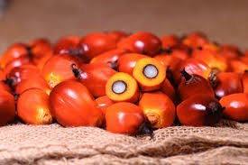 PRAISE Red Palm Oil vegan-friendly bottle supports plant-based cooking and versatility.