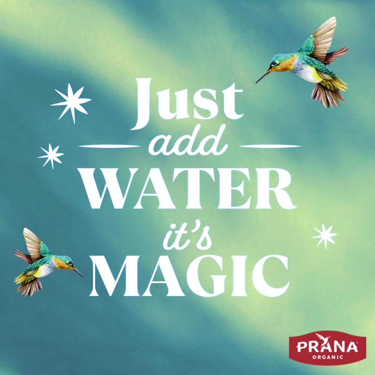 Prana fairtrade cane sugar note adds ethical sweetness