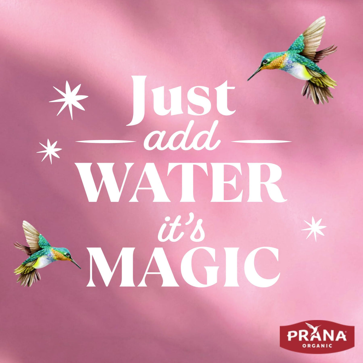 Fairtrade sugar label communicates ethically sourced sweetness.
