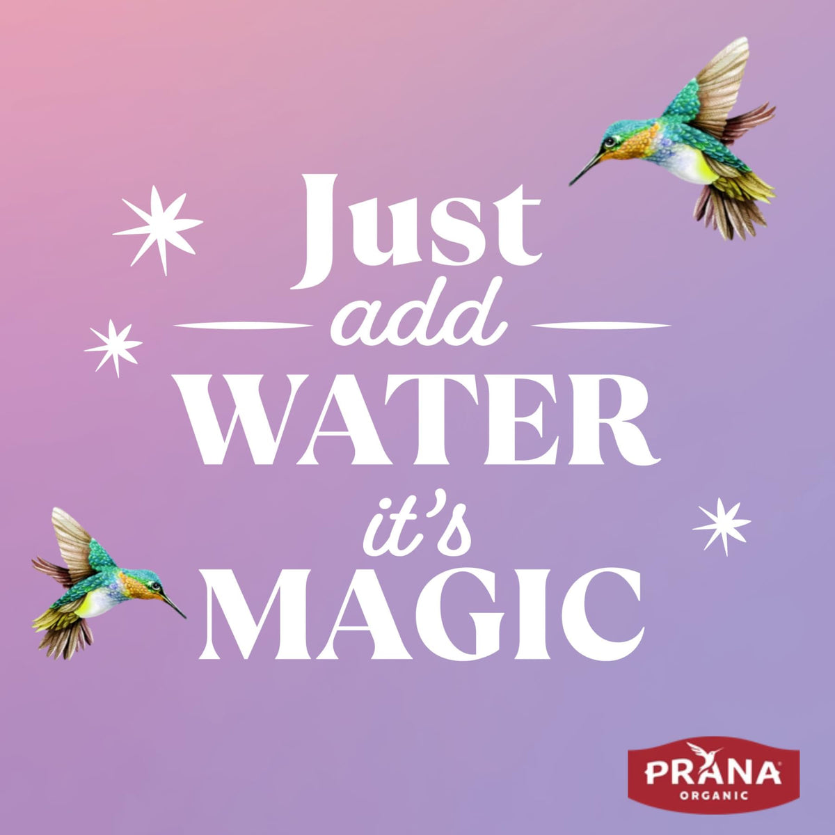 Prana ready breakfast mix enables quick homemade chia pudding options
