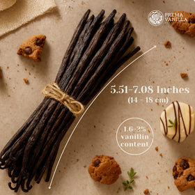Packaging of PREMA Madagascar vanilla beans highlights freshness and sustainability