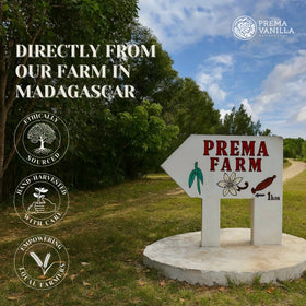 Whole PREMA Madagascar vanilla bean with spices for layered flavor