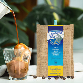 Premium Plantation Blue Tradition Class Experience Jamaica Blue Mountain coffee bag with one-way valve preserves aroma.