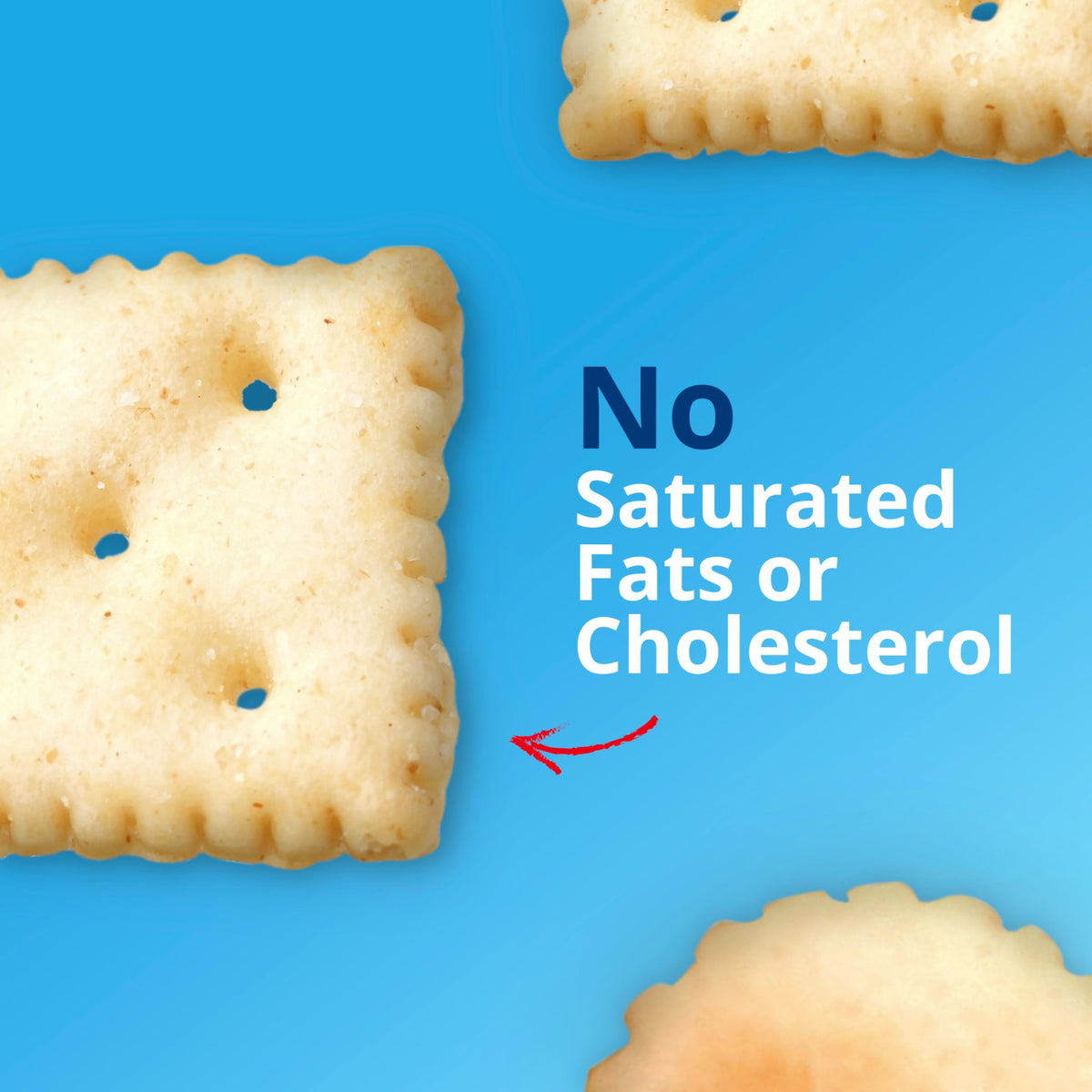 Premium Saltine Crackers in hand as a light, crunchy snack