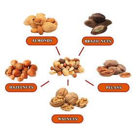 Presto Sales hazelnuts in shell closeup, premium quality snack option.
